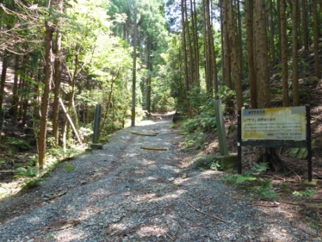 画像17